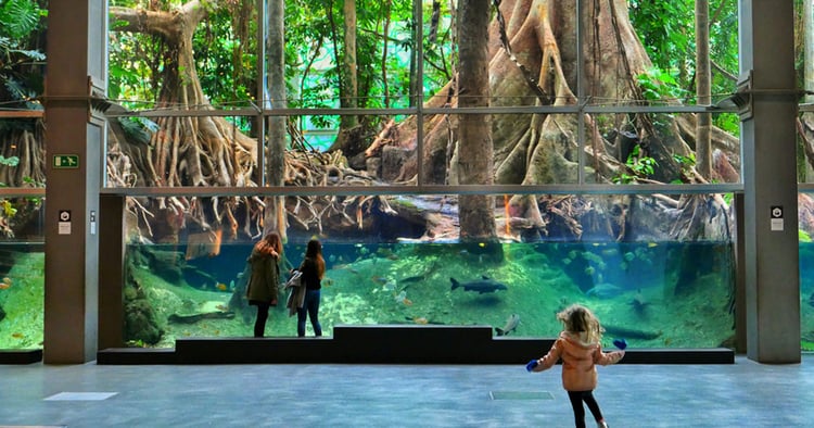 CosmoCaixa Flooded Forest