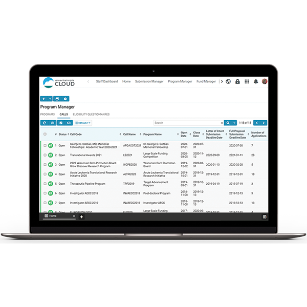 Program Manager