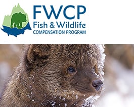 Fish & Wildlife Compensation Program