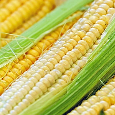 img-circle-genomealberta-3