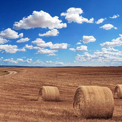 img-circle-genomealberta-5