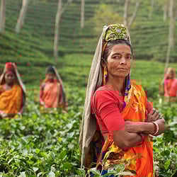 Photo of women in a farm - the foundation spent a great deal of money each month on user fees