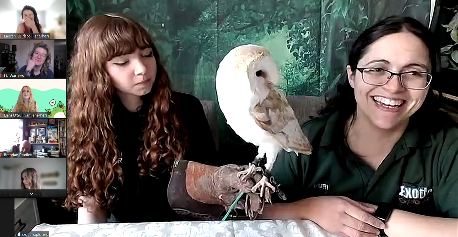 Animal meet & greet