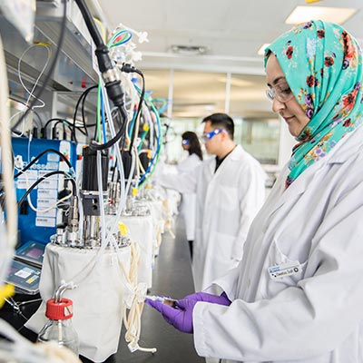 Technicians working in a lab
