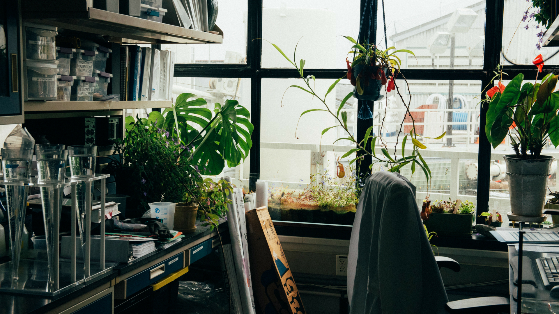 How Genome Alberta Enhanced Their Research Grant Reporting To Maximize Their Funding Impact