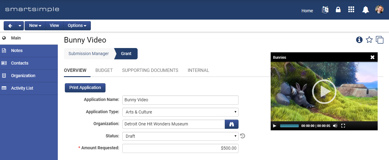 Screenshot of Inline Media Player