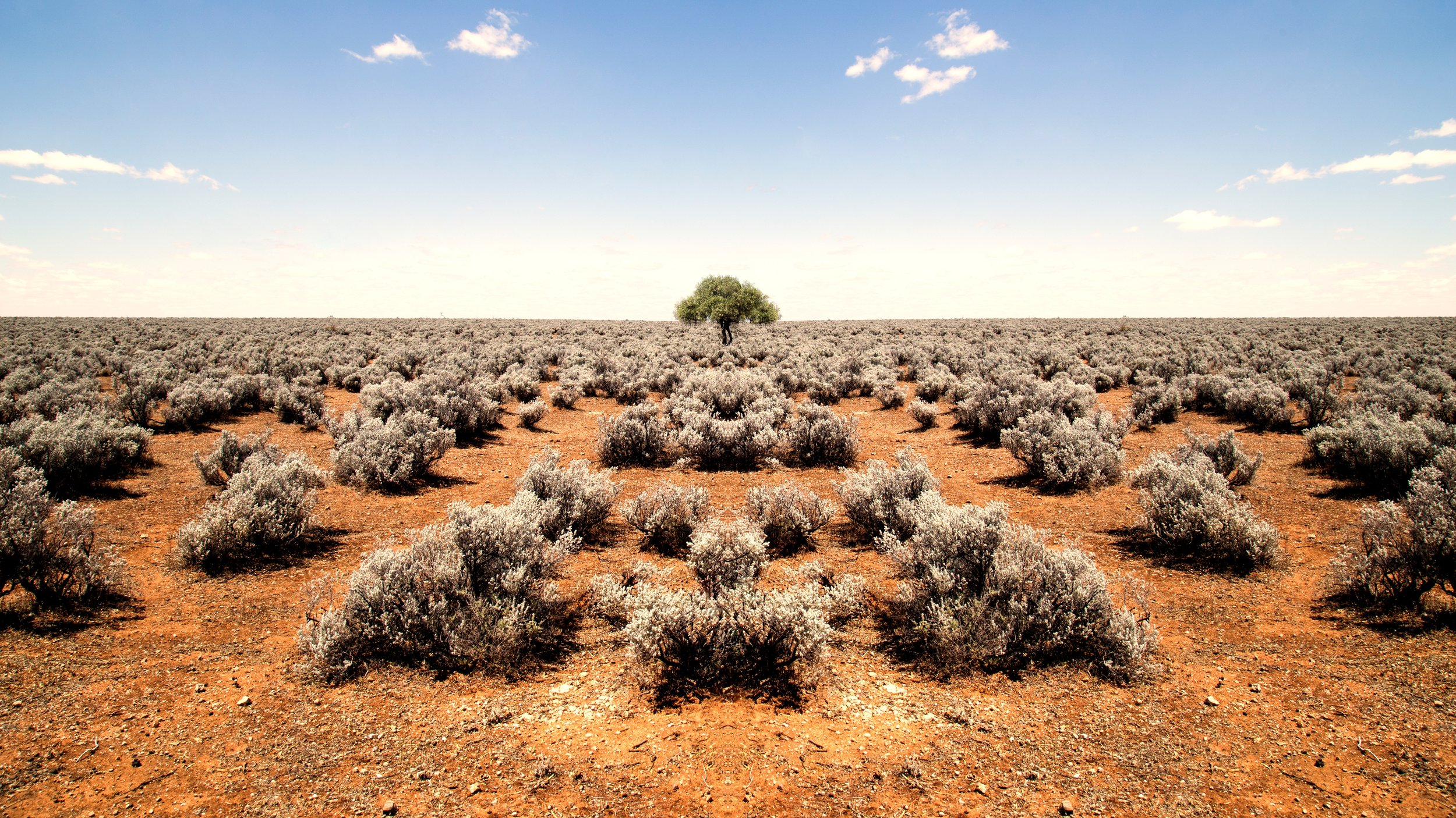 Why You Should Be Measuring Your Philanthropic Impact And Outcomes