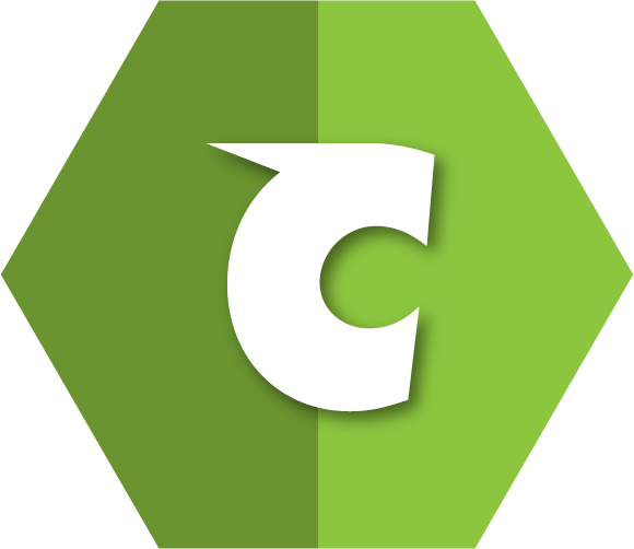 Consulting Services