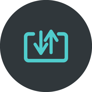 Import/Export icon
