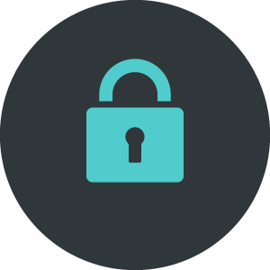 Privacy icon