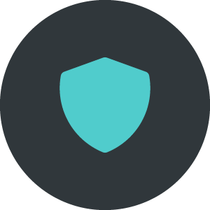 Security icon