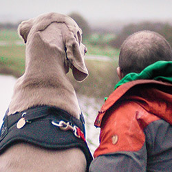 A man and his dog